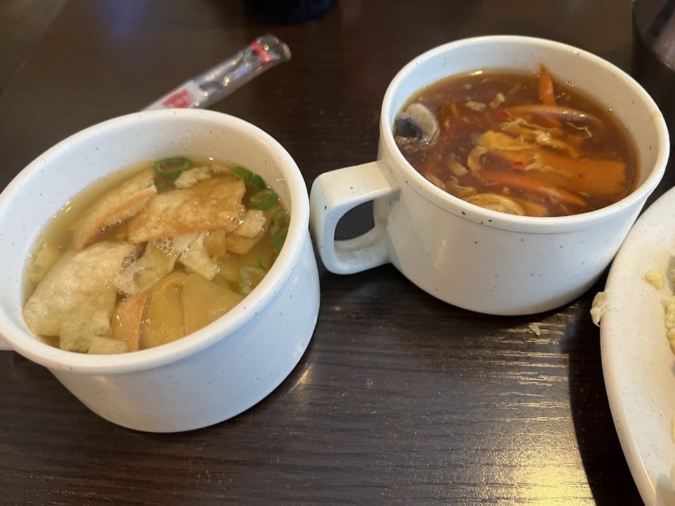 Wonton Soup and Hot and Sour Soup